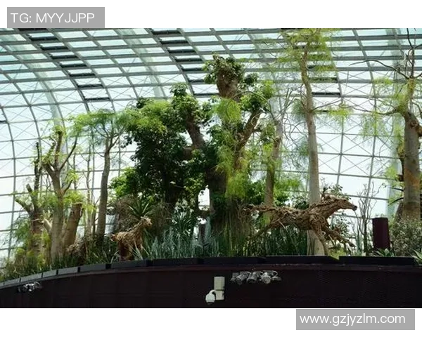 足球巨星带你畅游新加坡 探索魅力景点与精彩体验